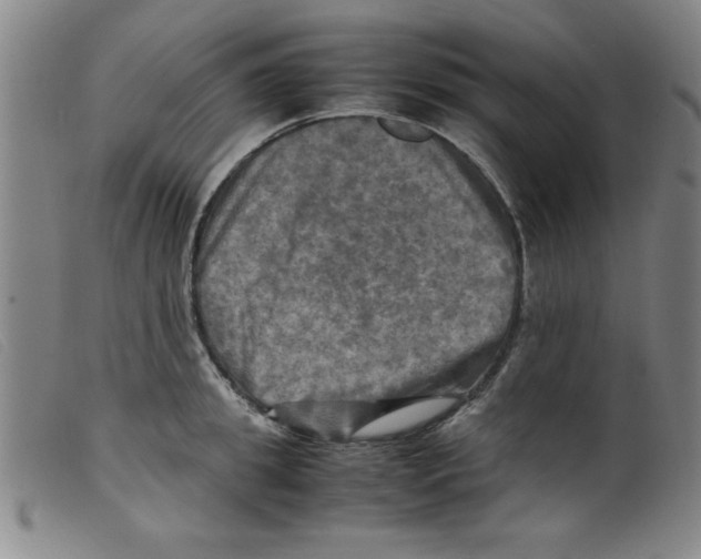 X0000098190949200805221514