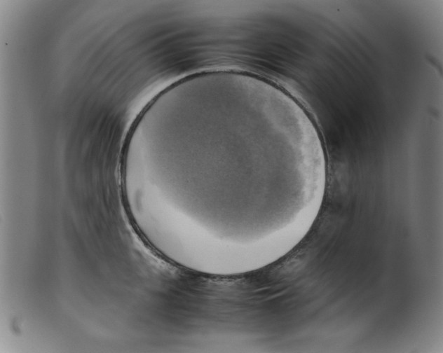X0000098190951200805221514