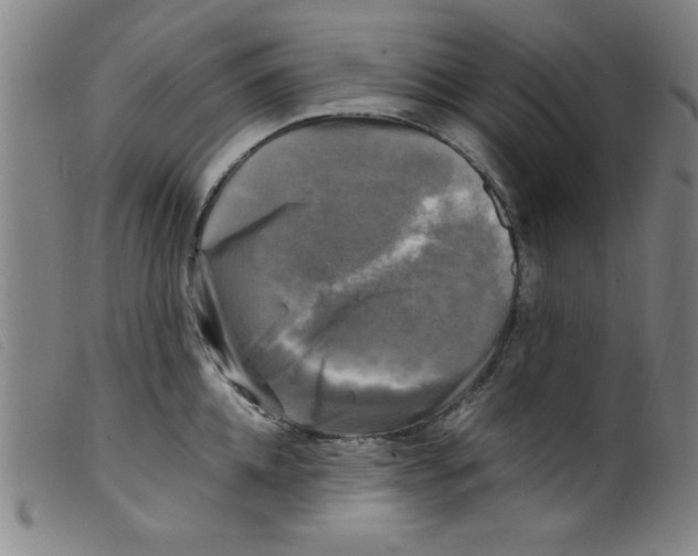 X0000098190952200805221514