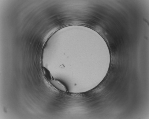 X0000098190954200805221514