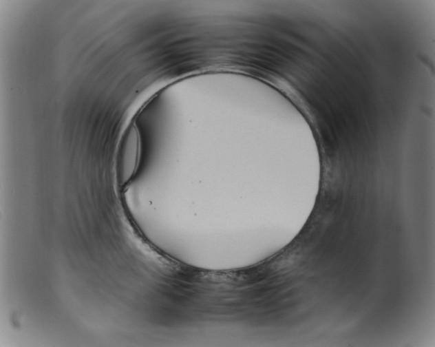 X0000098190955200805221514