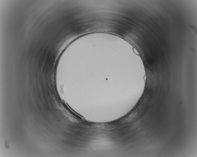 X0000098190956200805221514