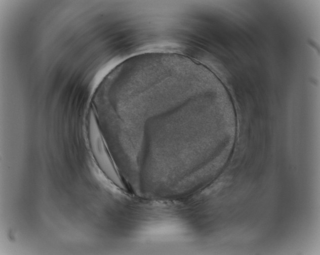 X0000098190960200805221514