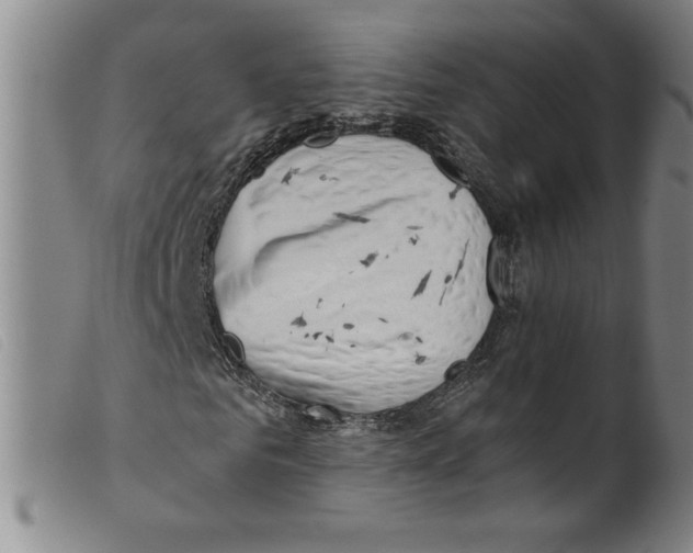 X0000098190961200805221513