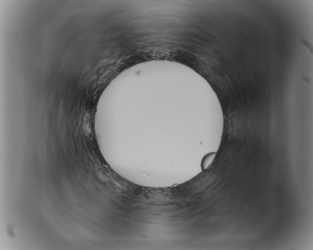 X0000098190962200805221513