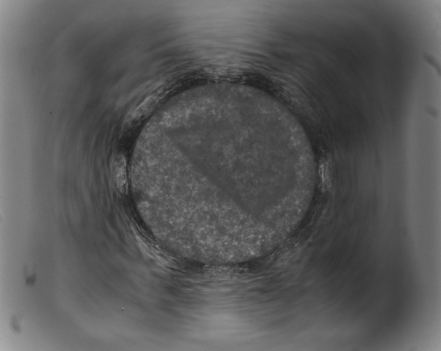 X0000098190963200805221513
