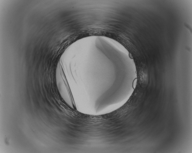 X0000098190964200805221513