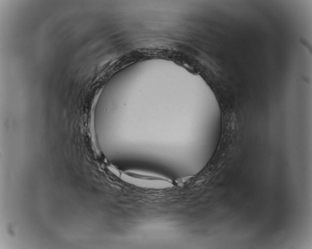 X0000098190965200805221513
