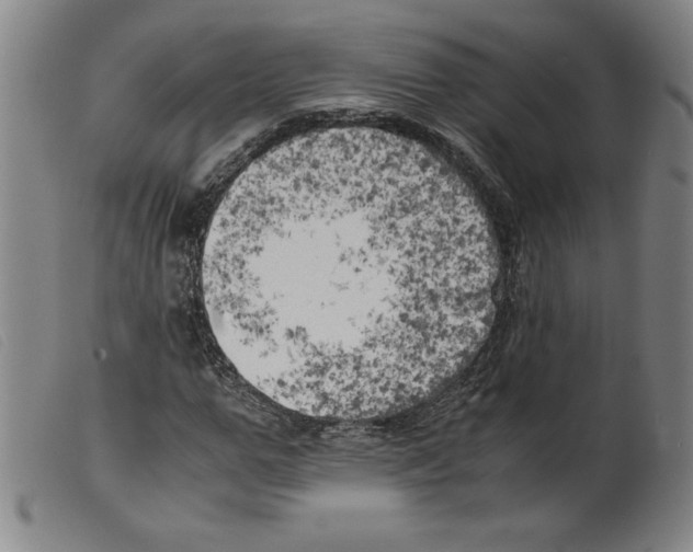 X0000098190967200805221513