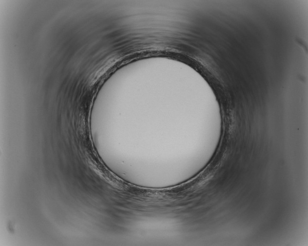 X0000098190969200805221513