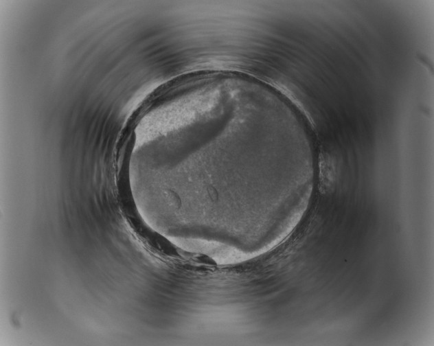 X0000098190972200805221513
