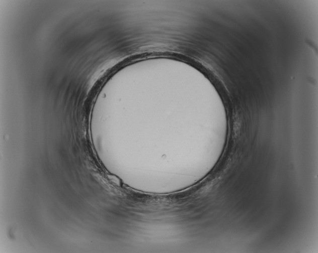X0000098190973200805221513
