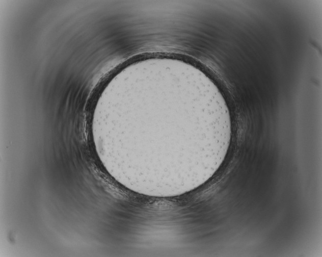 X0000098190974200805221513