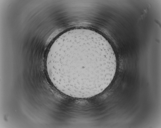 X0000098190978200805221513