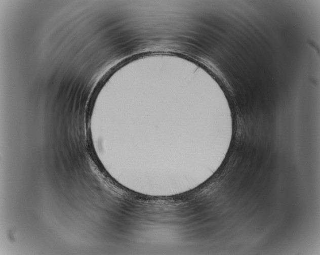 X0000098190980200805221513