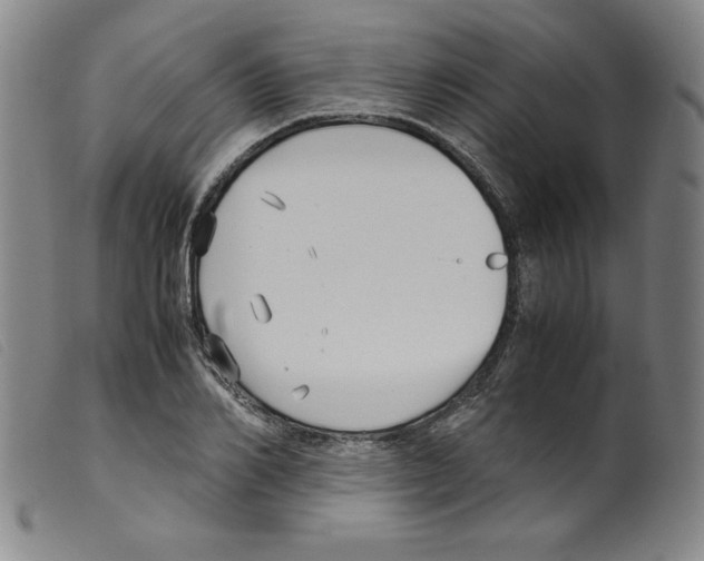 X0000098190982200805221513