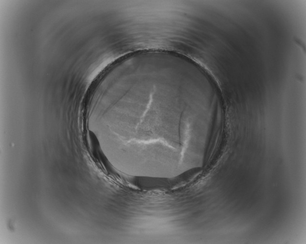 X0000098190983200805221513