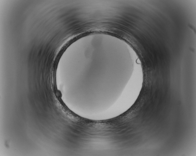 X0000098190984200805221513