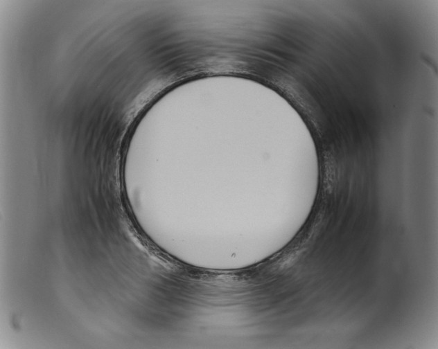X0000098190986200805221513