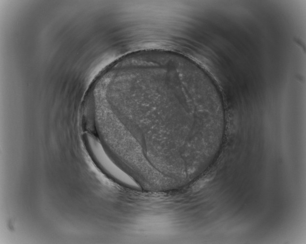 X0000098190991200805221513