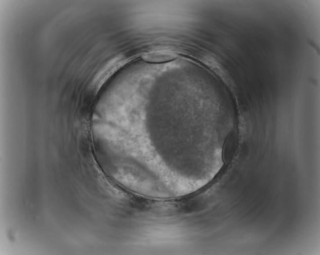 X0000098190993200805221513