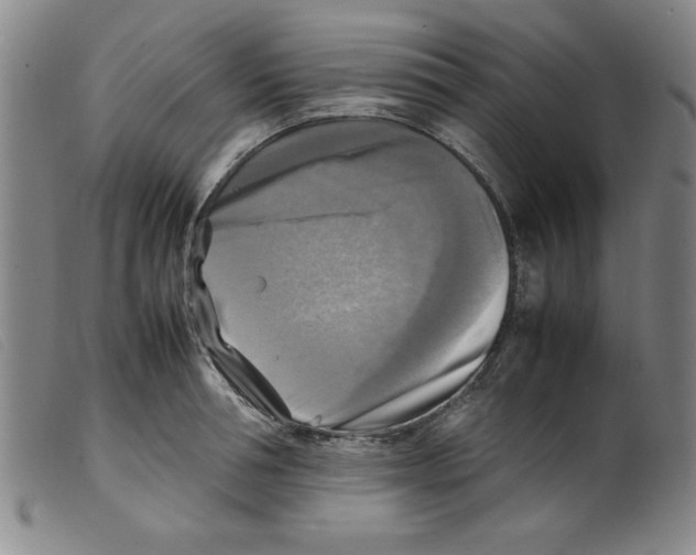 X0000098190994200805221513