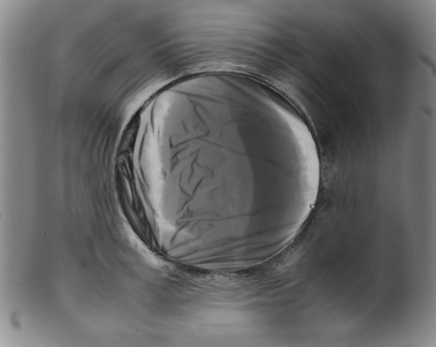 X0000098190995200805221513
