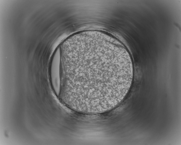 X0000098190997200805221513