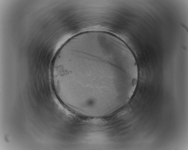 X0000098190998200805221513