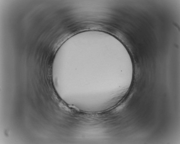 X0000098191001200805221513