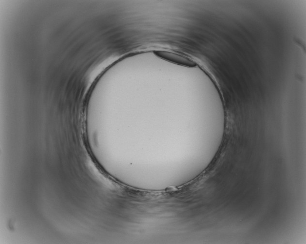 X0000098191003200805221513