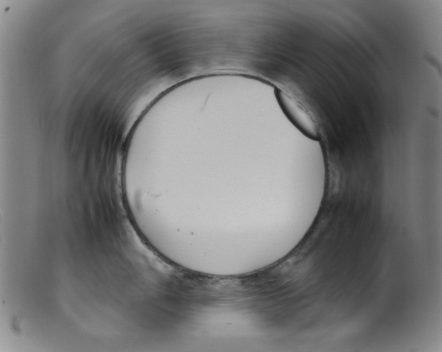 X0000098191006200805221513