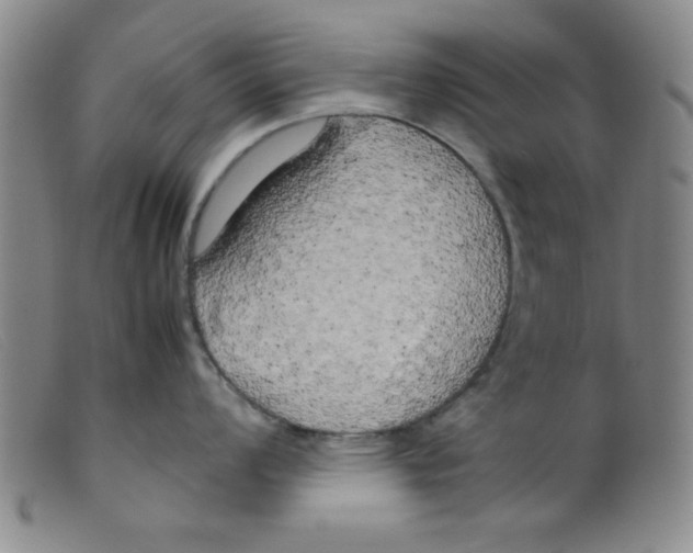 X0000098191008200805221513