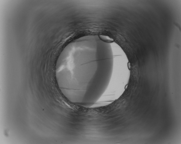 X0000098191009200805221512