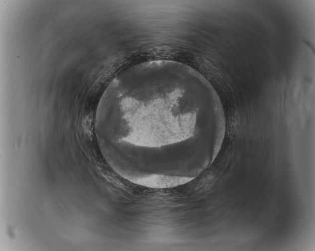 X0000098191010200805221512