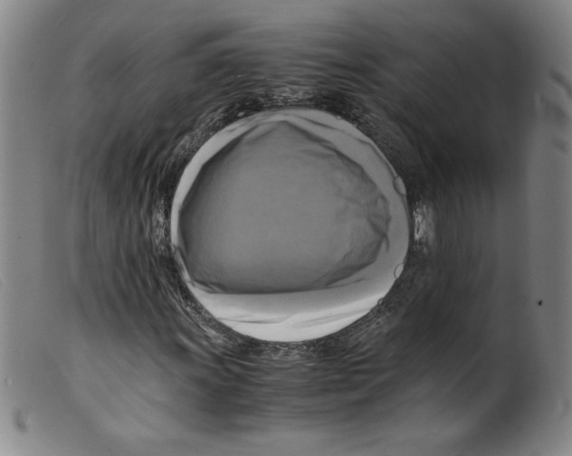 X0000098191011200805221512