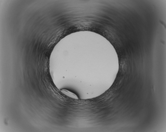 X0000098191012200805221512