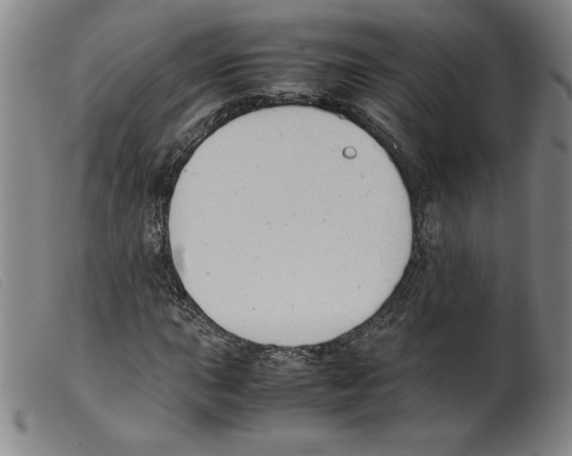 X0000098191015200805221512