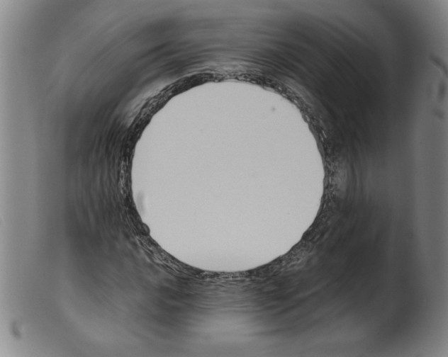 X0000098191016200805221512