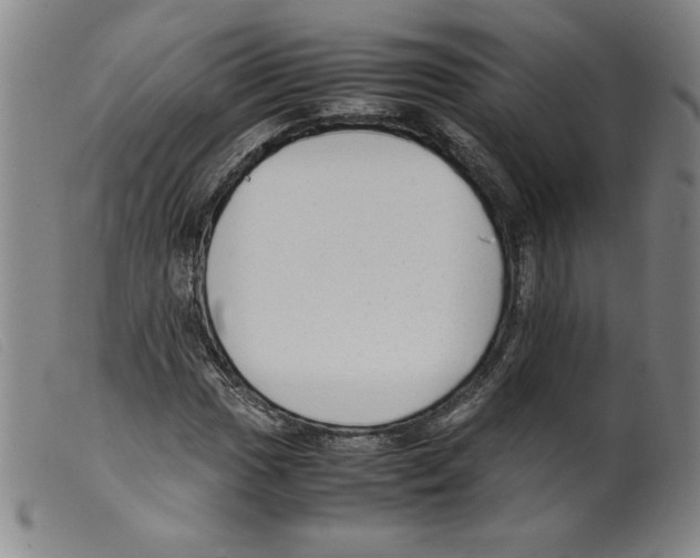 X0000098191017200805221512