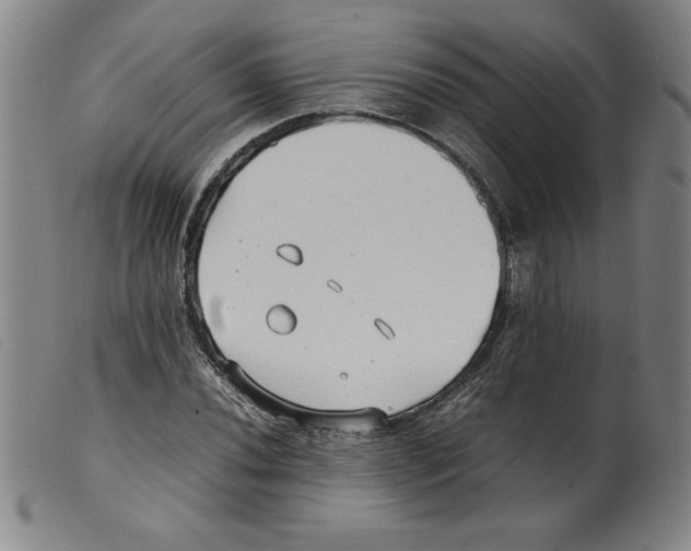 X0000098191020200805221512