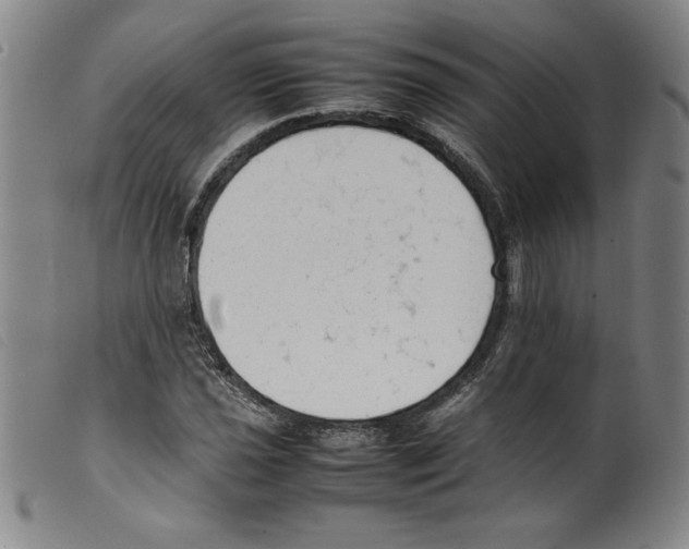 X0000098191021200805221512