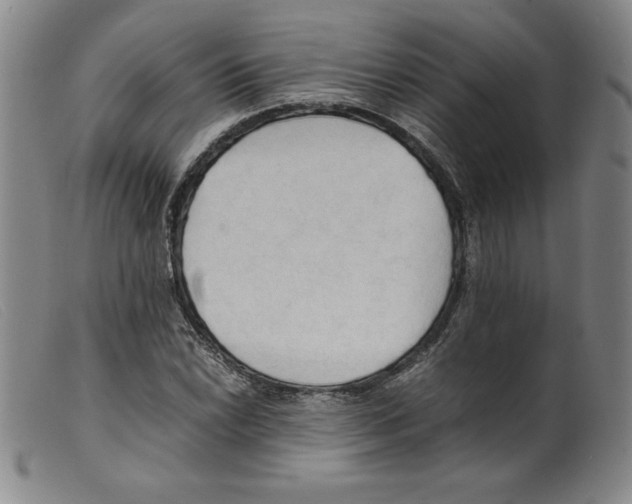 X0000098191022200805221512