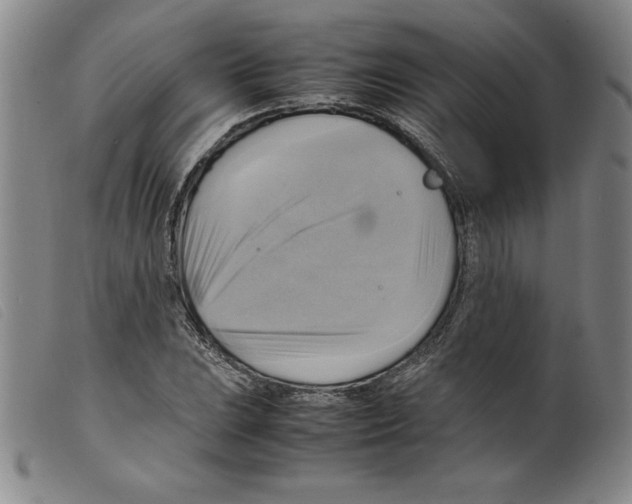 X0000098191023200805221512
