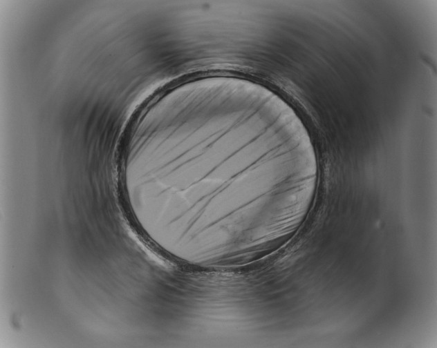 X0000098191024200805221512