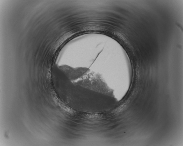 X0000098191025200805221512