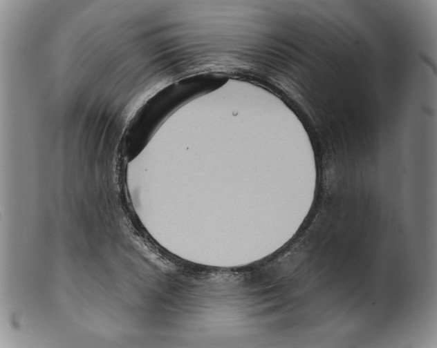 X0000098191026200805221512