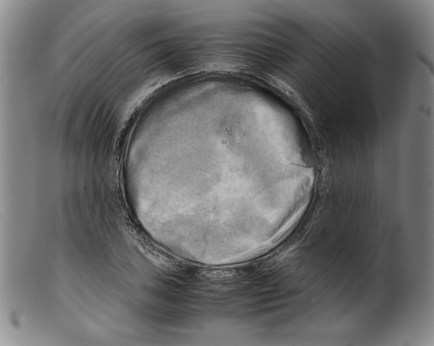 X0000098191027200805221512