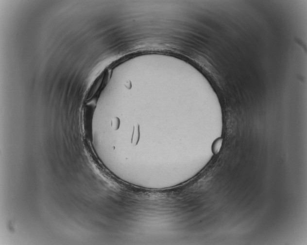 X0000098191030200805221512