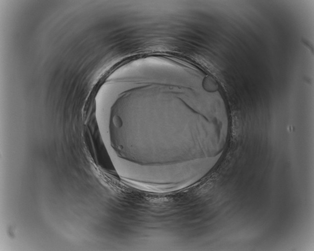 X0000098191031200805221512